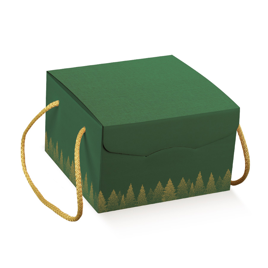 Caixa com Cordão Green Forest: 21X21X21cm