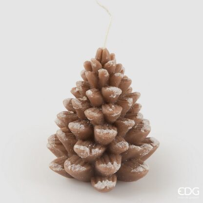 Vela Pinha Pinheiro Avelã: EDG
