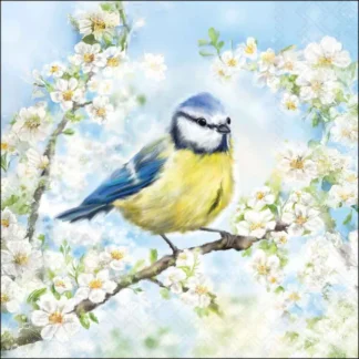 Guardanapo papel 33X33 (20 unidades): Florescer (Passarinho e Céu Azul)
