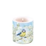 8712159212570 8712159212433 VELA FLORES PRIMAVERA PÁSCOA