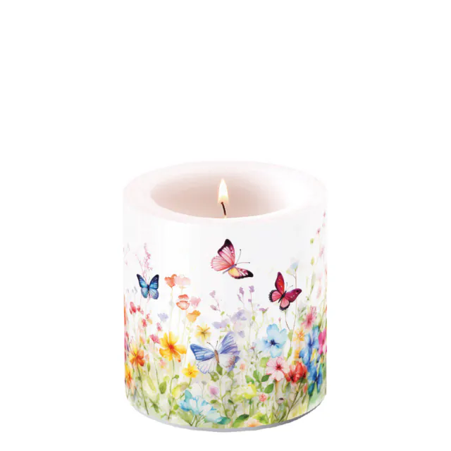 Vela pequena: Borboletas no Campo