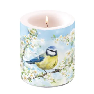 Vela média decorativa: Florescer (Passarinho e Céu Azul)