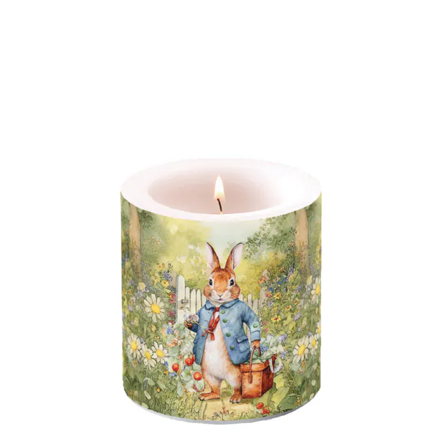 Vela pequena: Mister Rabbit