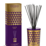 Figue noire Decorative scented bouquet mikado difusor varetas figo