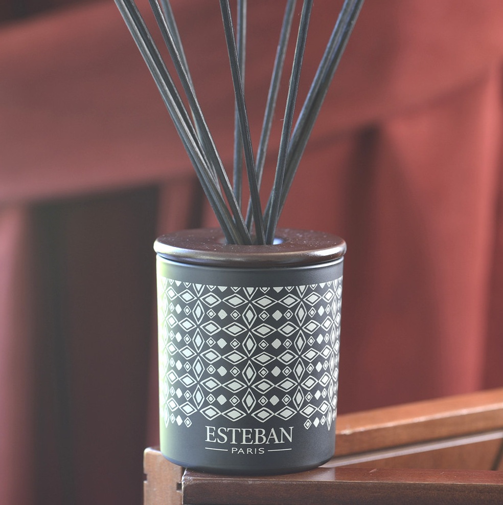 Difusor Mikado Cerâmica 100ml: Teck et Tonka - Image 2