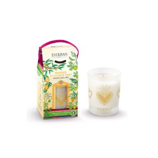 Vela 180gr em Caixa Oferta Edição Especial: Manga e Lima Verde