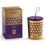 Figue noire Refillable decorative scented candle