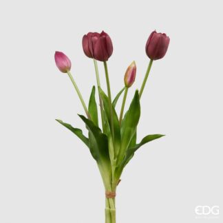 TULIP GUM.OLIS MZ5PZH40(CLOSED)C0 Cod. 214959,460 Variation VIOLET