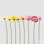 ANEMONE REAL-TOUCH BRANCH 8 ASS. H.30 D.7 C6 Cod. 2100633A999 Variation MULTICOLOR