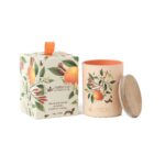 – EPV4047 – Vela 215gr cera vegetal: Flor de Laranjeira e Cravinho – Coleção Canto IX: