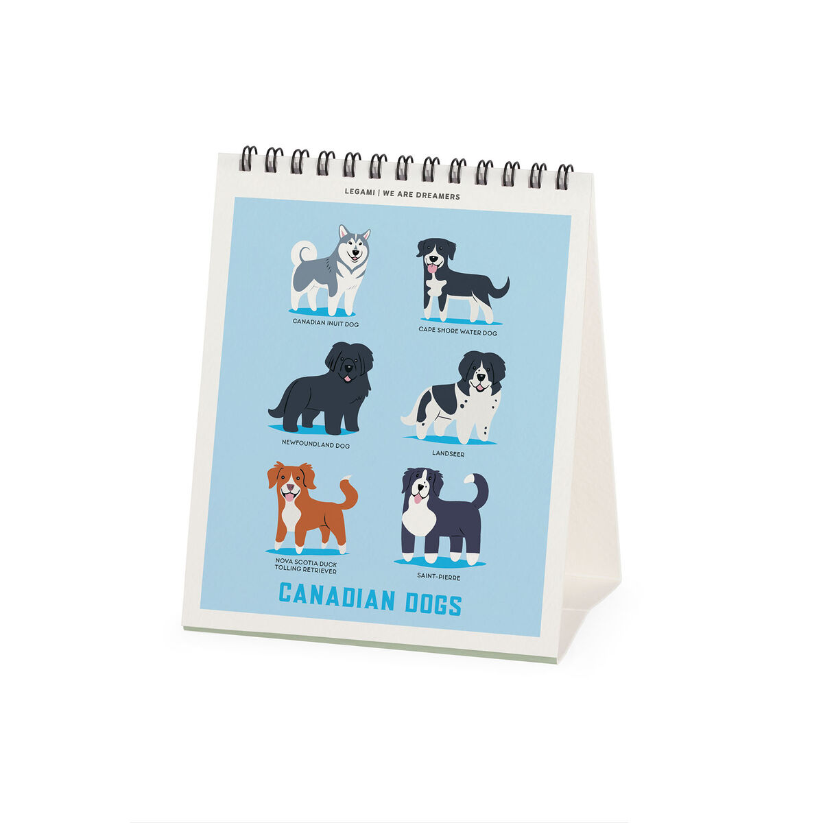 Calendário de mesa 2027 Legami: Cães do Mundo - Image 2