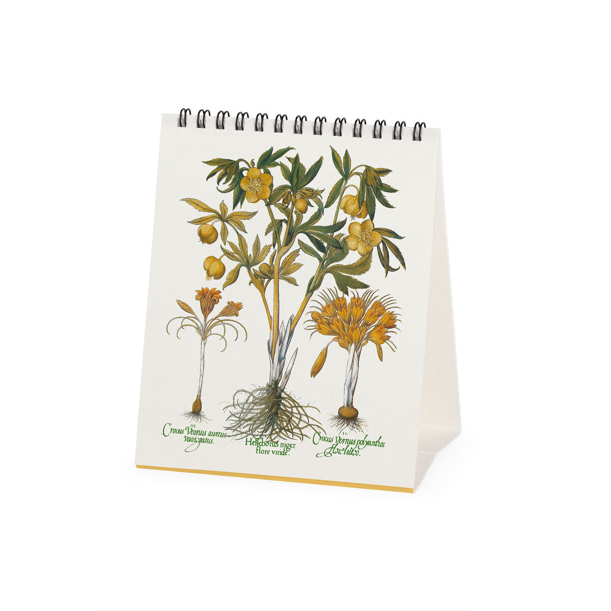 Calendário de mesa 2027 Legami: Herbarium - Image 2