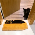 Felpudo "Caja gato" tapete entrada gato fisura