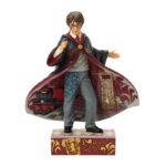Harry Potter Magical Moment (Harry Potter Robe Scene) 6018655