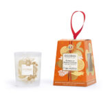 ESELN-216 – Vela 180gr Edição Limitada: Citron et Fruits Confits - AROMA: Citron et Fruits Confits