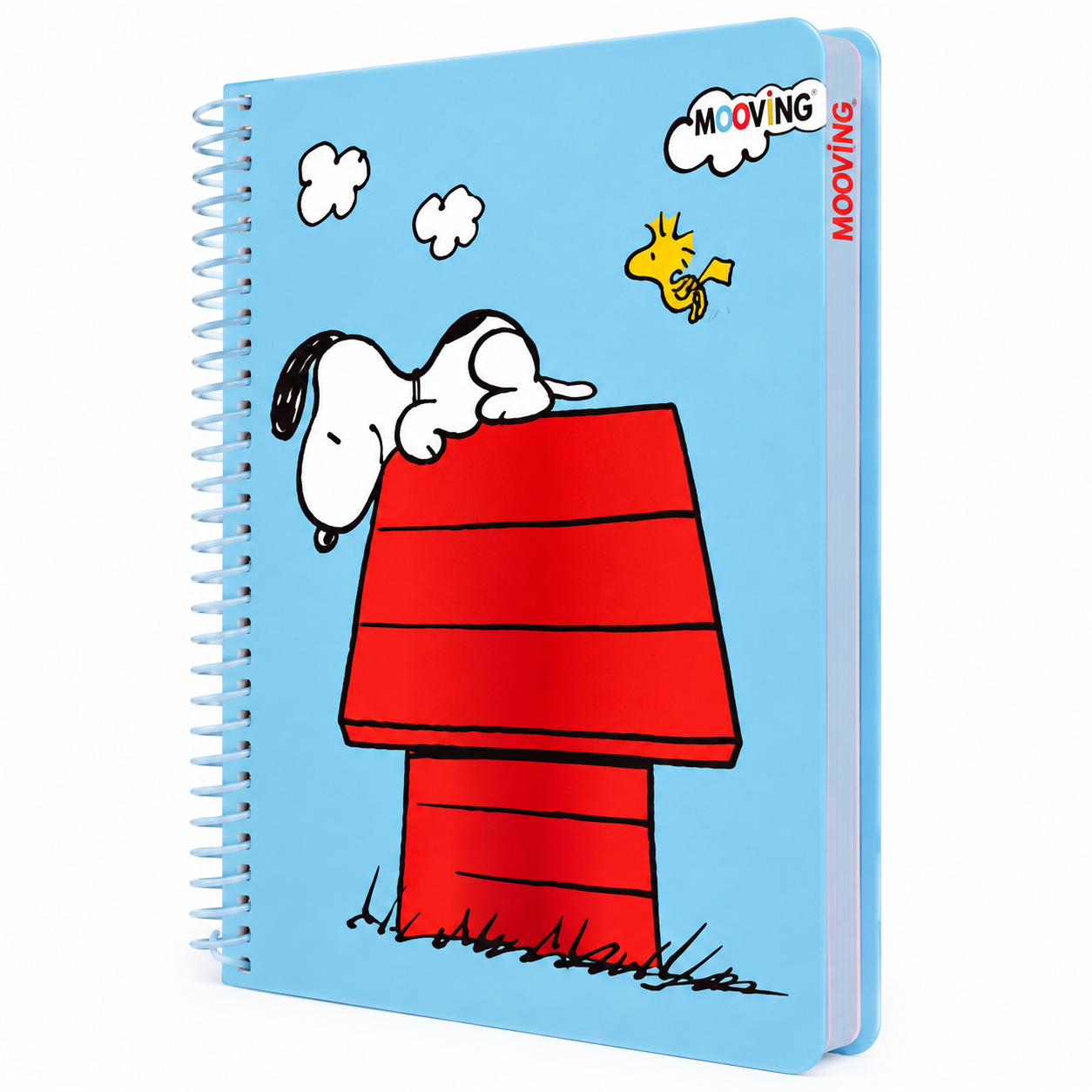 Caderno Premium Capa Dura 21X17 Snoopy: Casota