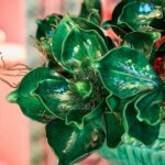 MAGNOLIA GLOSSY BRANCH H.65 D.25 C6 Cod. 2100702A700 Variation GREEN edg flor magnolia